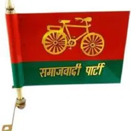Samajwadi Party Rectangle Car Window Flag-image-5