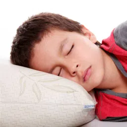 sleepsia Orthopedic Microfiber 18 x 12 Inch Pillow-picture-16
