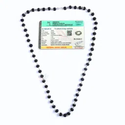 Karungali Malai Silver Cap Plated Mala | Black Ebony Wood 8Mm | 54Beads Locket Wood Necklace-image-1
