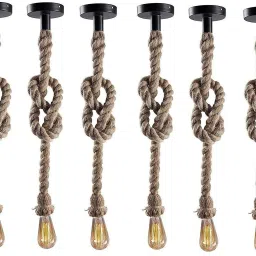 Pendants Ceiling Lamp-image-71