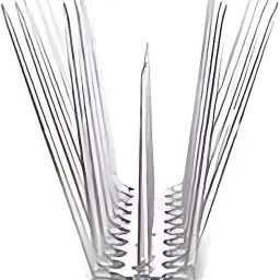 Bird Spike-image-53