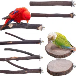 8 PCS Natural Wood Bird Perch Stand-Wooden Parrot Wooden Perch For Bird-image-43