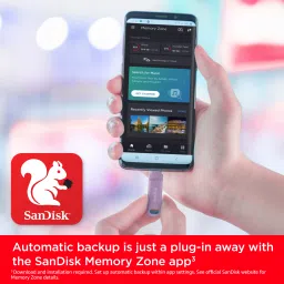 SanDisk SDDDC3-256G-I46LPD 256 GB Pen Drive Compatible with Desktop Computer, Laptop, Mobile USB 3.2 Plastic Case image 3