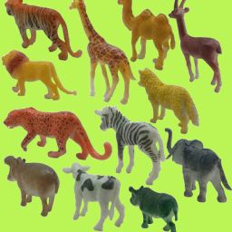 10. Desert Dwellers Set: Explore the Unique Animals of the Arid Lands PQ-image-33