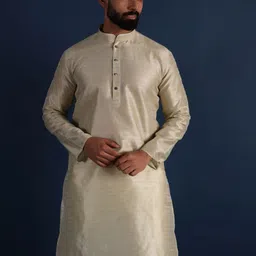 Lightpole Striped Woven Design Mandarin Collar Thread Work Straight Kurta-picture-19