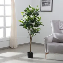 arick decor Frangipani Green Plastic Artificial Plant-picture-12