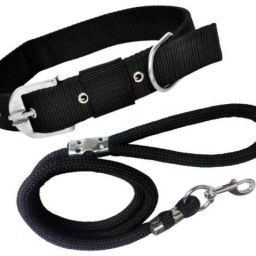 SMART DOGGIE COMBO OF DOG COLLAR AND LEASH FOR SMALL DOGS( NOT FOR PUPPY) 150 cm Dog Cord Leash-26