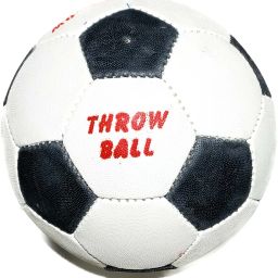 BALL Throw Ball - Size: 5-image-16