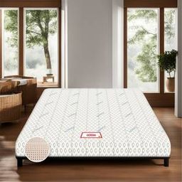 coirfit BIOLIFE 7-Zone LATEX with Talalay Tech queen Size Mattress-picture-5