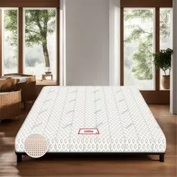 coirfit BIOLIFE 7-Zone LATEX with Talalay Tech King Size Mattress-picture-35