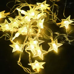 16 LEDs 3 m White Flickering Star Rice Lights-24