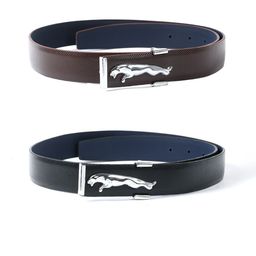 Kastner Men Brown 2 Formal Belt-image-18