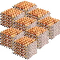 Egg holder Egg Holder-image-85