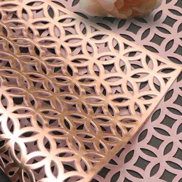 Dakshya Industries 2-Pcs Copper-Toned Self Design Rectangular Table Placemats image 4