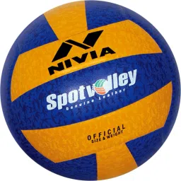 Spot Volleyball - Size: 4-picture-21