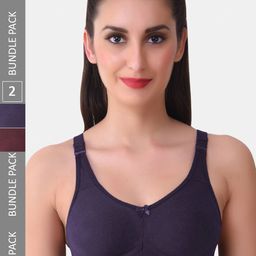 MAROON Pack Of 2 Full Coverage Lightly Padded T-Shirt Bra All Day Comfort-picture-23