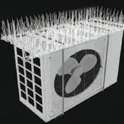 Bird Spike-picture-16