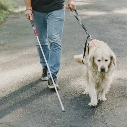swadesi by mcp Folding Walking Cane Stick Reflective Red for The Blind, Visually Impaired Blind Walking Stick image 5
