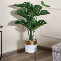 fourwalls Plastic Green Miniature Silk Floor With Big Leaves Without Pot Artificial Plant-picture-4