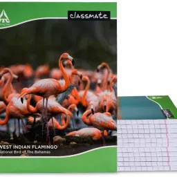 Notebook Regular Notebook Single Line 172 Pages-1