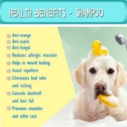 hachiko ( Combo of 2 ) Dog Shampoo Flea-Tick + 5 IN 1 Shampoo (Total 500 ml) Allergy Relief, Anti-dandruff, Anti-fungal, Conditioning Artificial Fragrance Free Dog Shampoo image 4