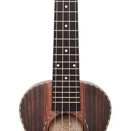 Ukulele 24'' Concert, Specially Crafted Exotic Wood Design (With Online Classes) Concert Ukulele-18