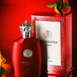 Paris Corner Perfumes Emir Opulentia Flame Long Lasting Eau De Parfum- 100 ml-11
