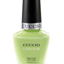 Colour Long Lasting Glossy Nail Polish - In the key of Lime 25-Free Formula 13 ml-0
