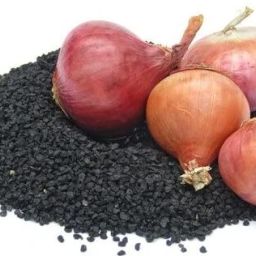 Premium vegetable seeds for gardening, balconies, and terraces Seed-image-62