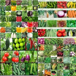 Vegetable seeds for home biij 233 Seed-image-23