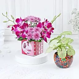 Tropical Harmony Arrangement-27