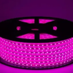 600 LEDs 5 m Pink Steady Strip Rice Lights-4