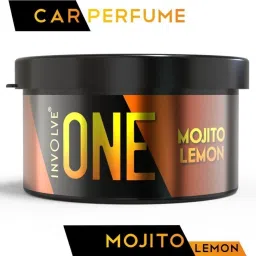 ONE Mojito Lemon fiber Car Freshener Blocks-image-35