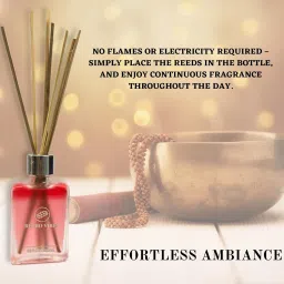 retro vibes Sandalwood Reed Diffuser with 7 Bamboo Stick for Home, Bath & Bedroom Pack of 1, Diffuser Set image 5
