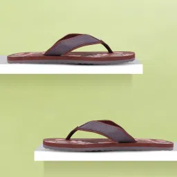 Sofi V4 Women Women Slippers-image-21