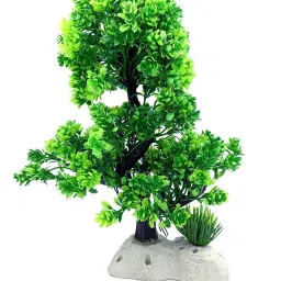 Laterite Planted Substrate-image-53