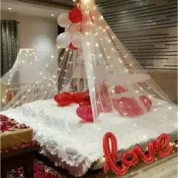 Solid Love Happy Birthday Decor ation kit Combo with Led Light and Net Curtain Balloon-95
