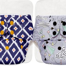 BASIC Reusable Cloth Diaper for babies 0-3Y with dry feel pad/insert - Assorted-10