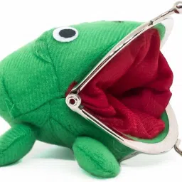 Men & Women Casual Green Fabric Wallet - Mini-image-15