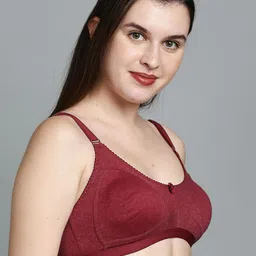 True Shape Pack of 2 Full Coverage Bra With All Day Comfort image 2