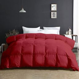 RAZZAI Burgundy Microfiber Mild Winter 500 GSM Reversible Double Bed Comforter-image-71