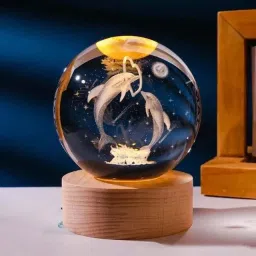 3D Crystal Dolphin Lamp with Wooden LED Base - Perfect for your Home or Office Night Lamp-21