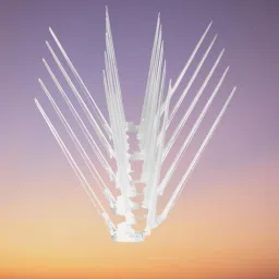 Bird Spike-picture-20