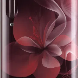 lg 185 L Direct Cool Single Door 3 Star Refrigerator-picture-33