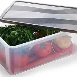 Plastic Grocery Container - 2000 ml-image-96