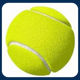 jai shri New-Tennis ball _120Pack of 6 Tennis Ball-picture-35
