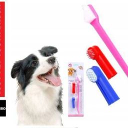 flexible, regular and finger Pet Toothbrush (Dog, Cat, All pets) Pet Toothbrush-picture-17