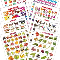 spectrum Kid's 1st Learning Charts [S] : Set 28 (English Alphabets, Numbers 1-100, Colours, Flowers, Animals, Birds, Fruits & Vegetables)-picture-8