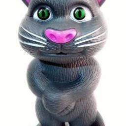 CREATION Intelligent ttb -65 Talking Tom Cat (Grey)-image-95