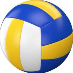 PVC Volleyball with Air Pin Volleyball - Size: 5-image-117